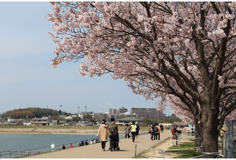 🏞️ 사야마이케 공원 (사야마이케코엔) 이미지 1